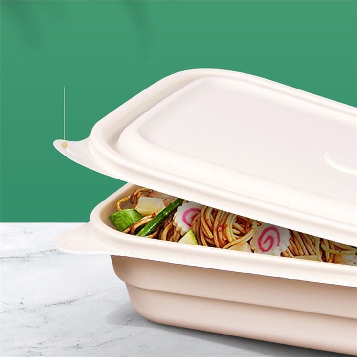 recipientes de almoço de alimentos eco biodegradáveis
