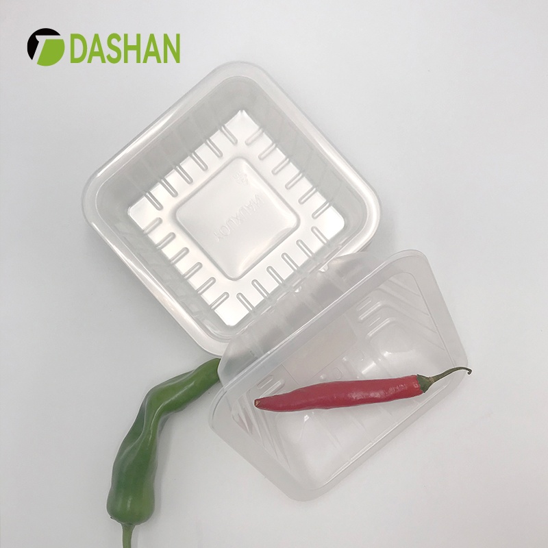 Disposable Food Trays