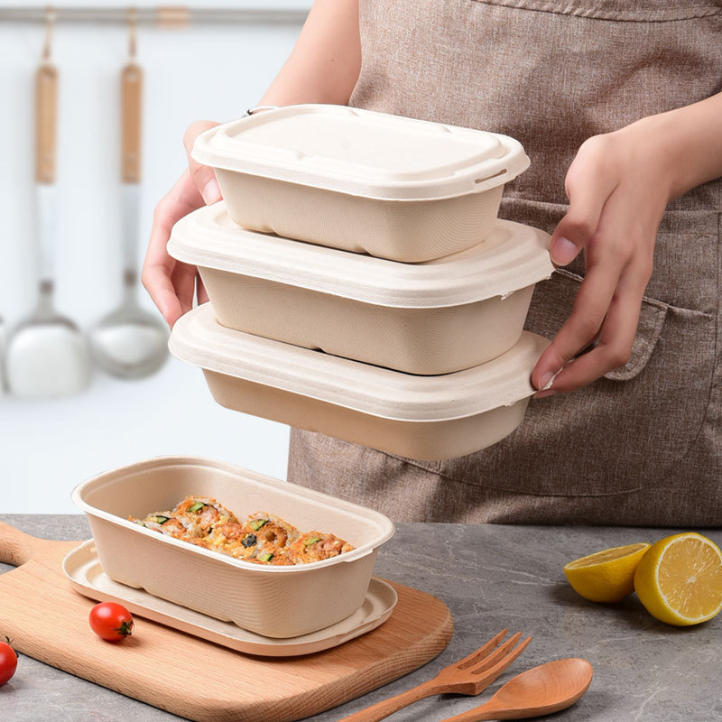 New Disposable Bagasse light food lunch box Degradable Eco-friendly sugarcane paper