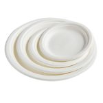 New Disposable Bagasse  Eco-friendly Safe Non-toxic Tasteless Home Commercial Plates