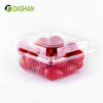 Clamshell Cherry Box SD-250 – Transparent