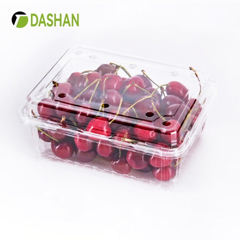 Clamshell Packaging Fruit Boxes For Supermarket SD-500