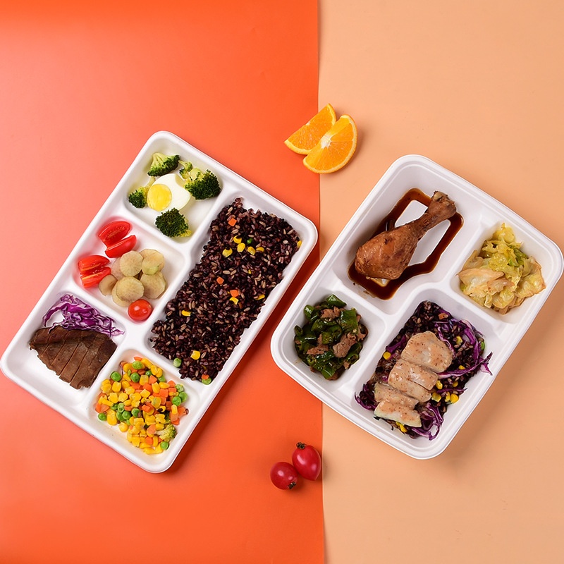New Disposable Bagasse compartmentalized lunch boxes Degradable Eco-friendly sugarcane paper Multi-compartment lunch box