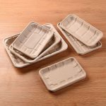 New Disposable Bagasse food tray more size Degradable Eco-friendly Safe Non-toxic sugarcane paper