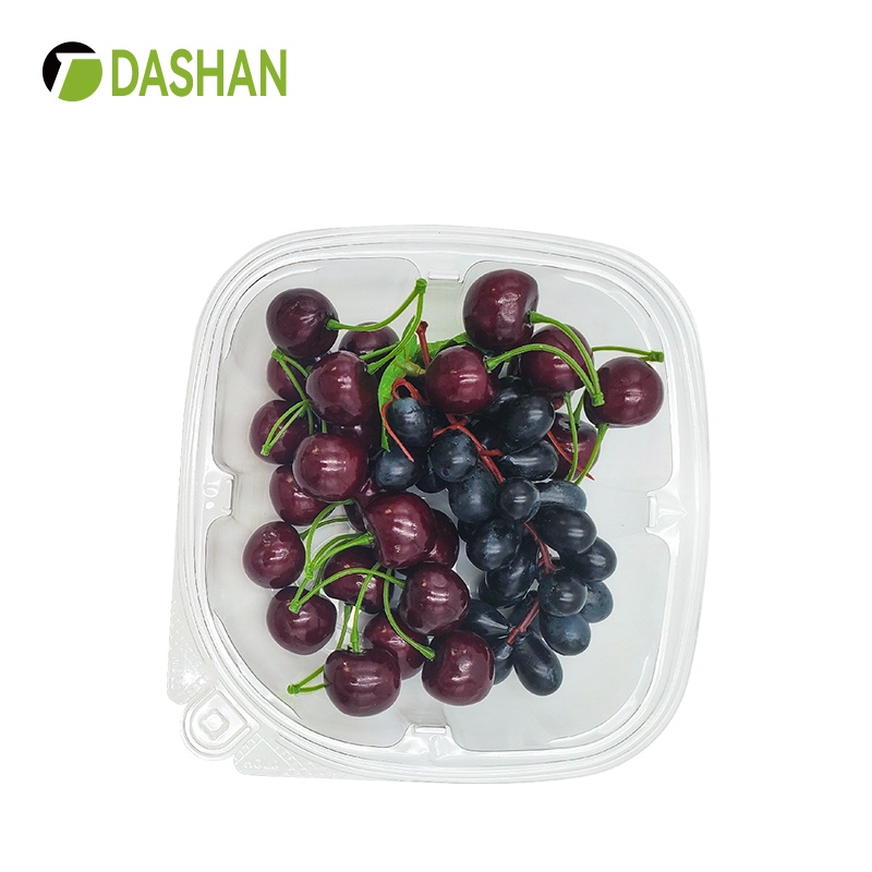Disposable Eco Friendly Plastic Storage Container 55oz