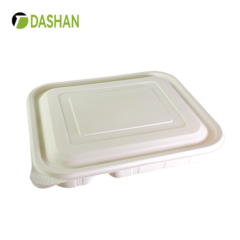 Disposable 5 compartments environmental bio-degradable lunch box