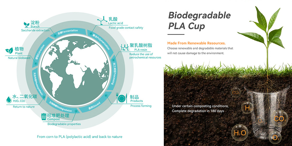 Compostable PLA Cups Ecological Cycle Diagram Compostable PLA Cups Ecological Cycle Diagram
