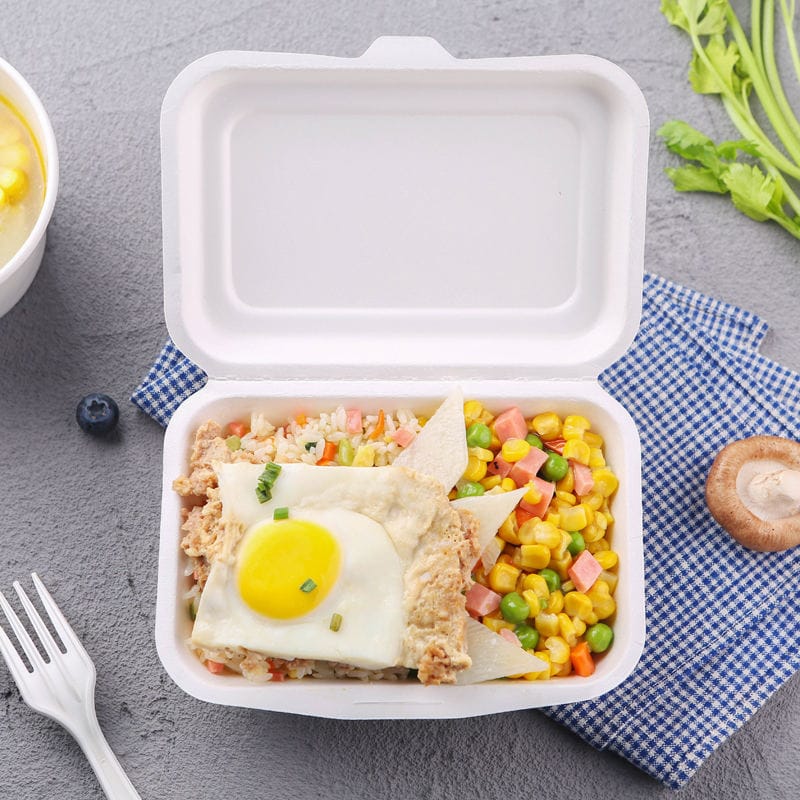 sugarcane-bagasse-clamshell-1.jpg