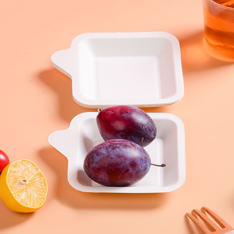 bagasse tray