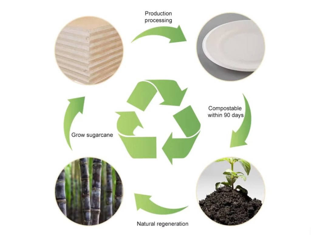 The degradation process of sugarcane bagasse The degradation process of sugarcane bagasse