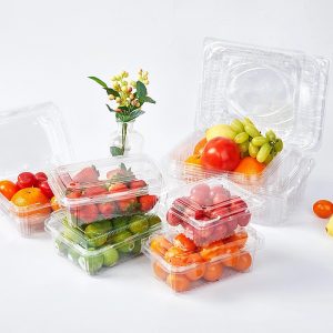 Disposable PET Food Container