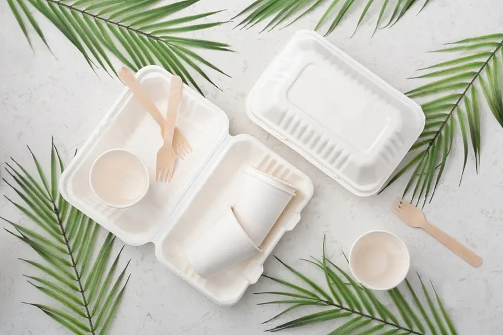 green takeaway packaging green takeaway packaging