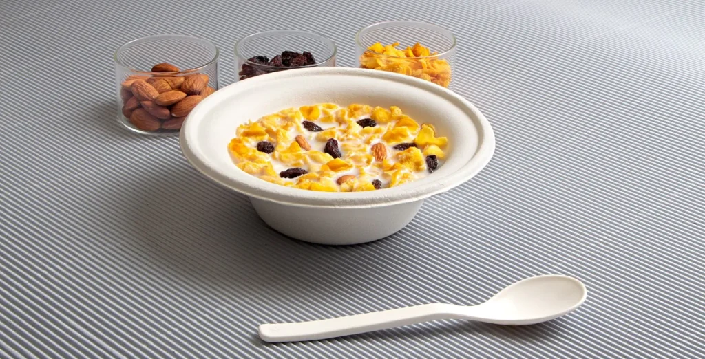 Bagasse Bowl