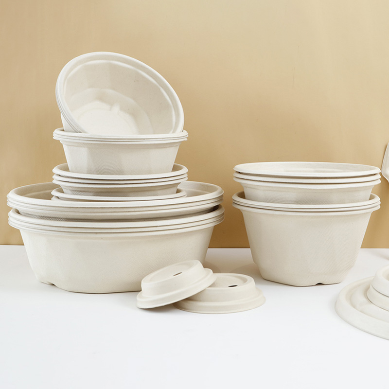 bagasse tray
