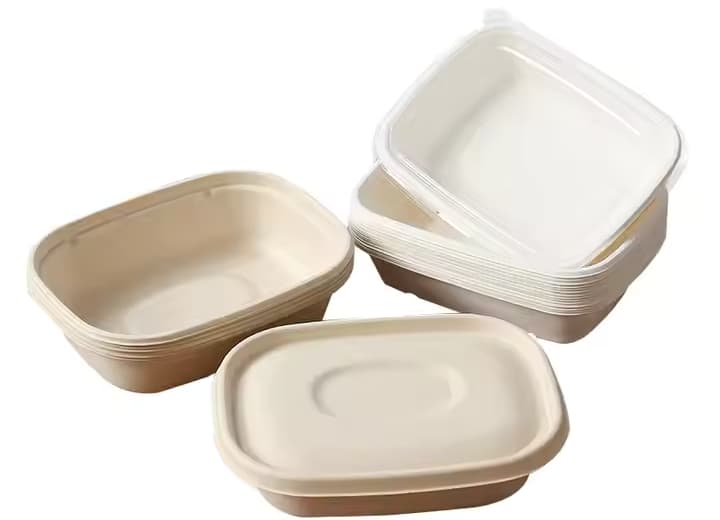 bagasse box bagasse box