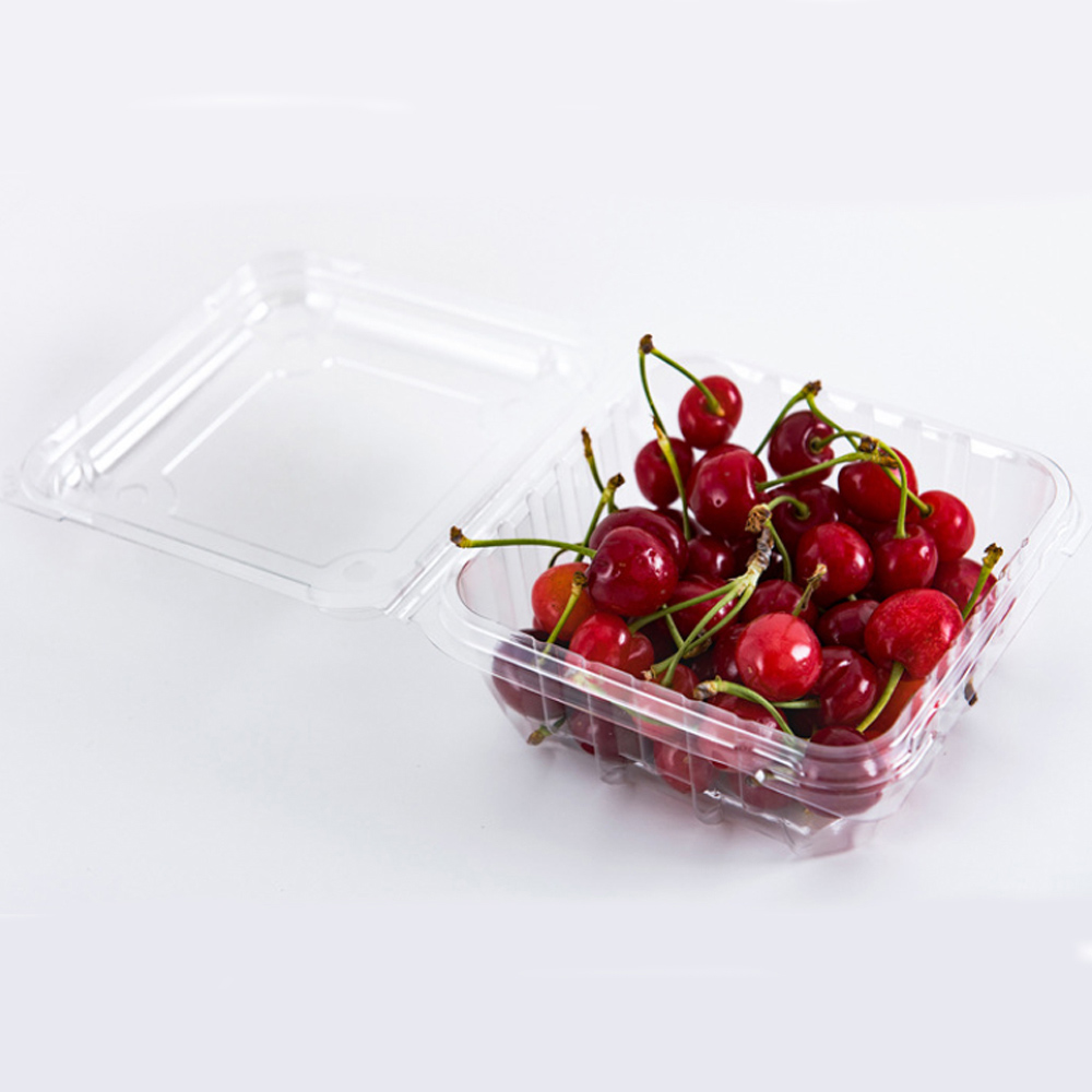 PET fruit container