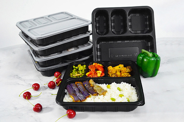 Compartment Food Container