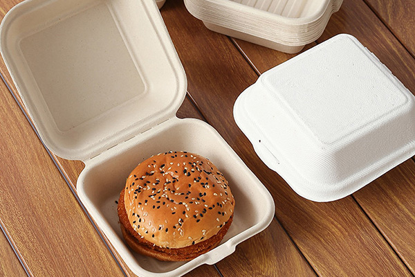 Bagasse Clamshell Box