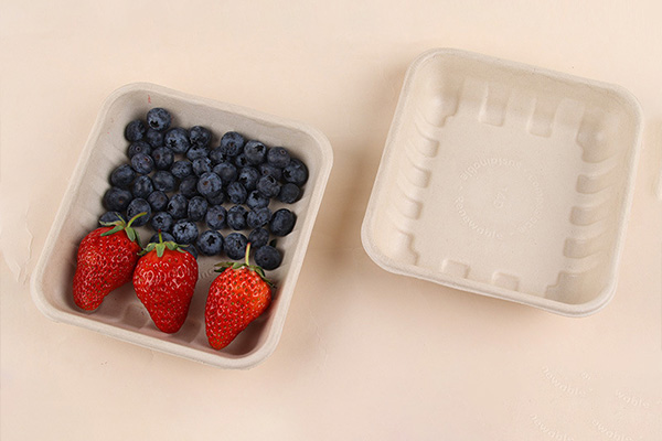 Bagasse Tray
