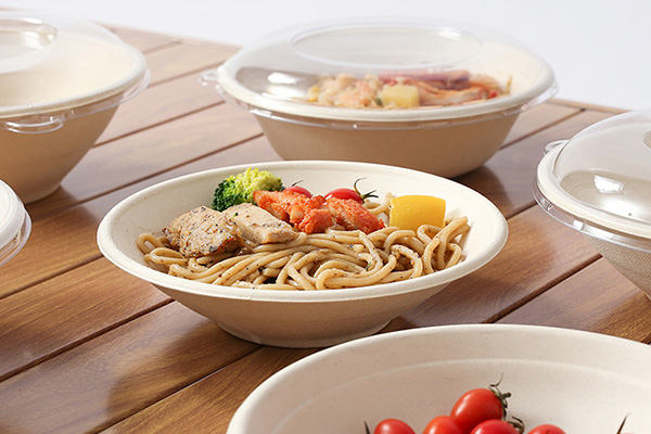 Bagasse Bowl