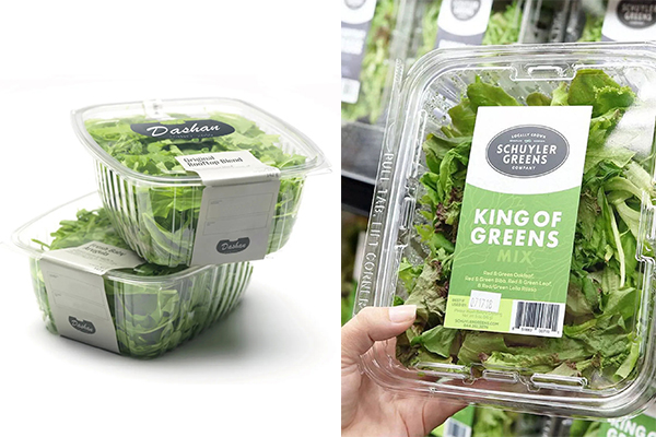 PET Salad Container