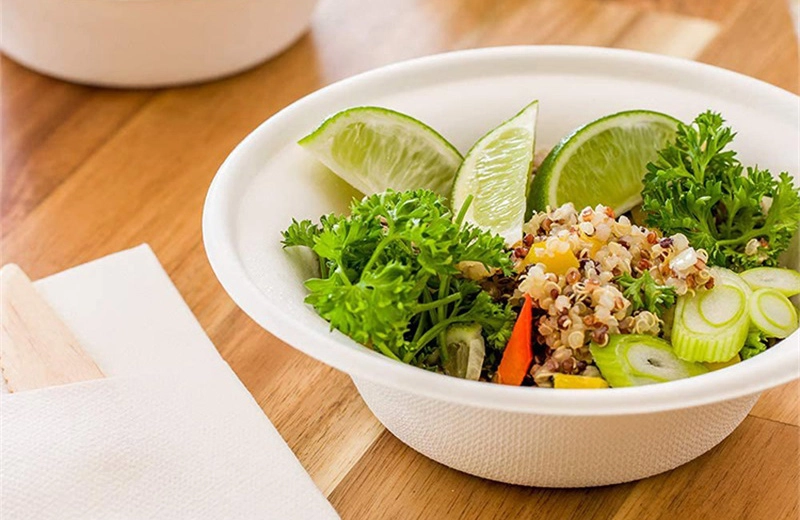 Bagasse Bowl
