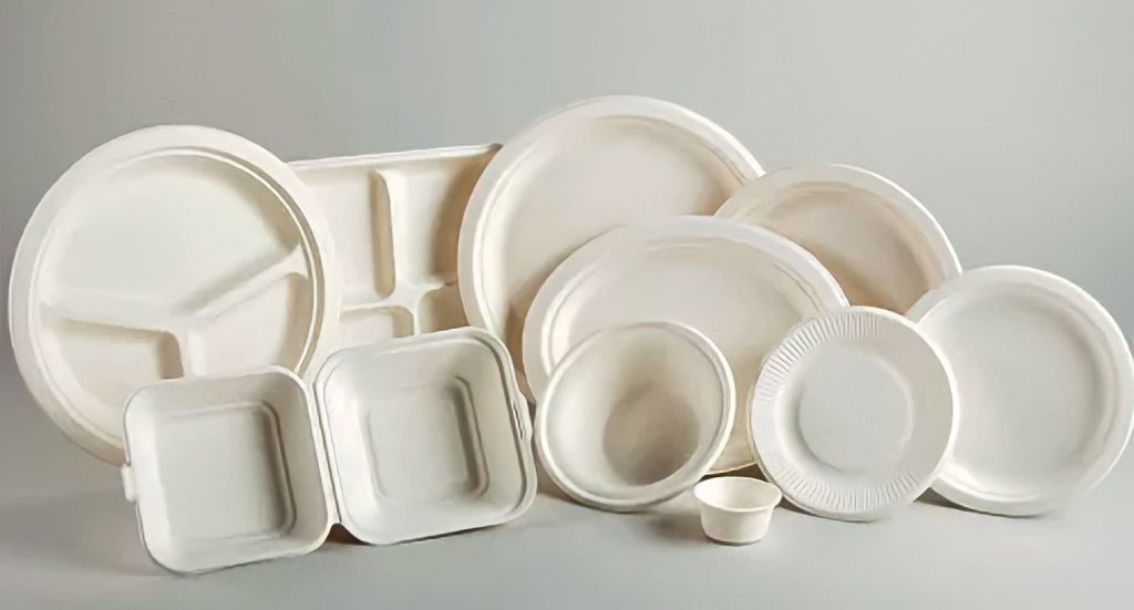 Bagasse Plate