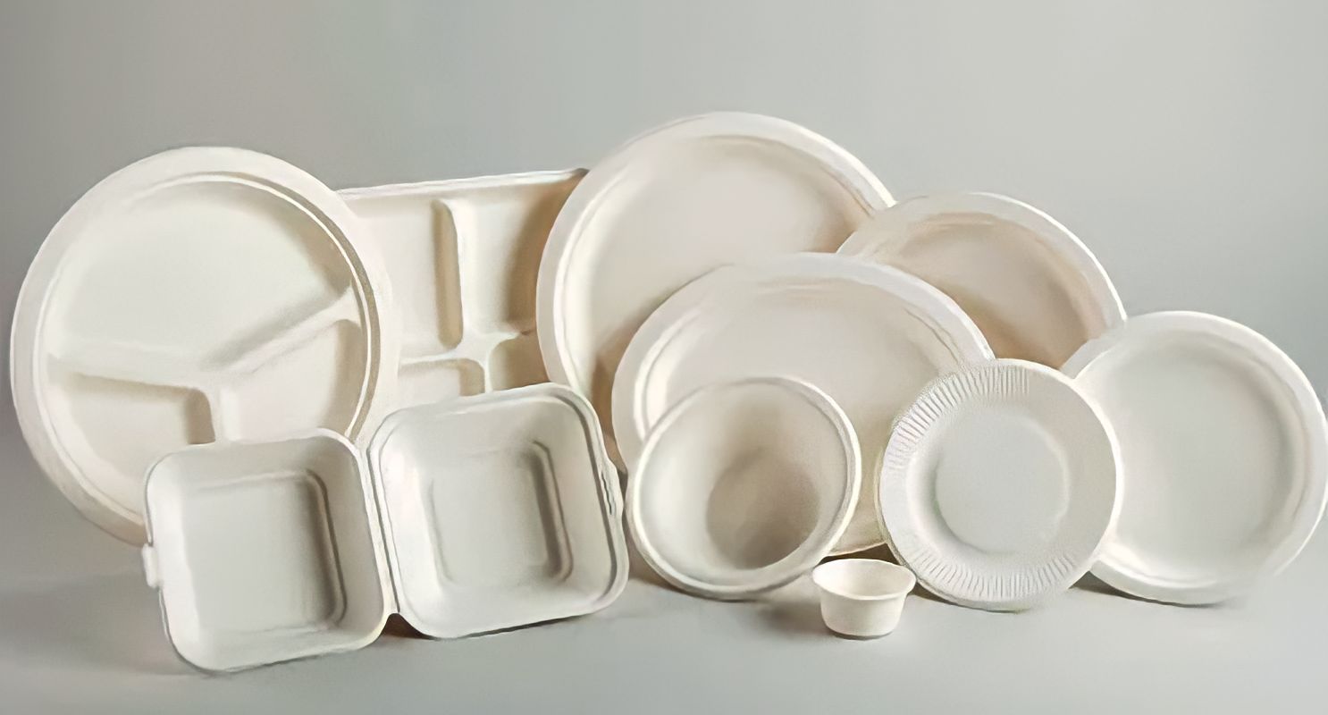 Bagasse Plate Bagasse Plate