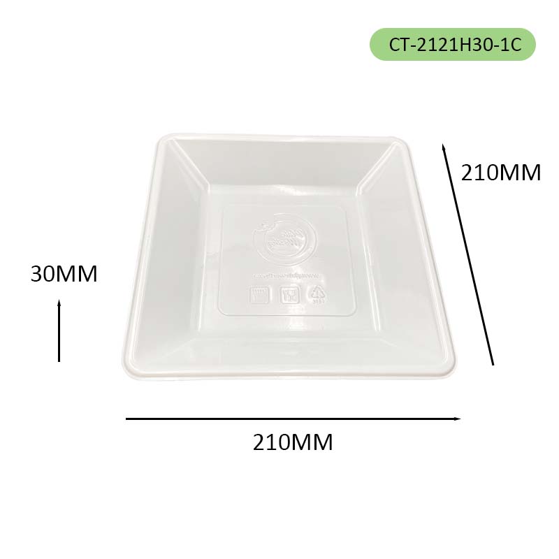CPET Airline tray