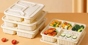 Cornstarch Boxes  