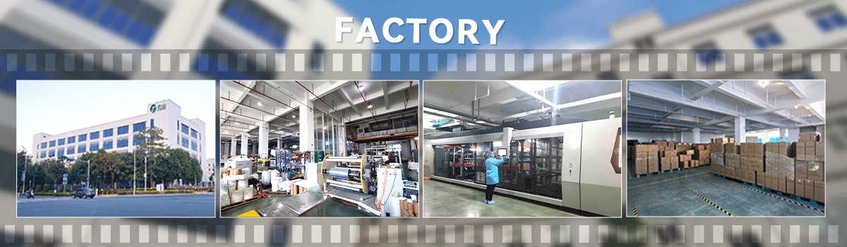 DASHAN Factory Tour