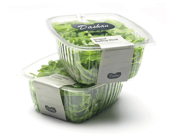 PET Salad Container