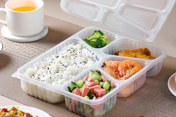 Compartment Food Container