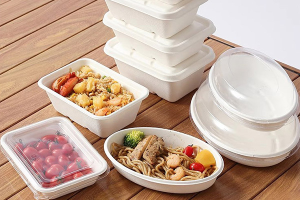 Bagasse Clamshell Box