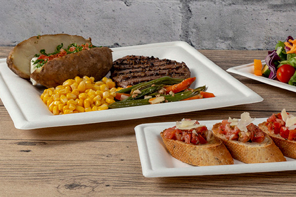 Bagasse Plate