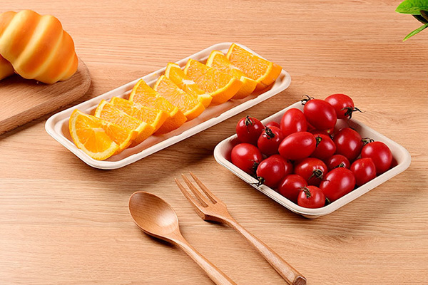 Bagasse Tray