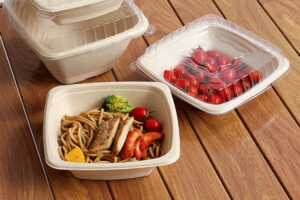 Bagasse Bowl