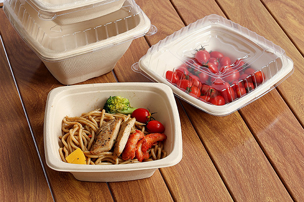 Bagasse Bowl