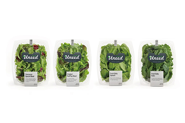 PET Salad Container