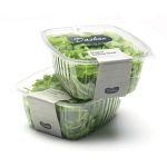 Premium Disposable Salad Containers Wholesale