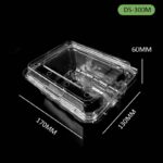 Plastic Cherry Tray SD-300