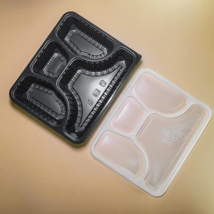 Compartment Food Container Solution 2 leakproof lunch box