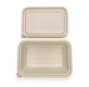 500mlDurable Takeout Box