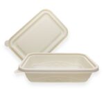 NWEH-21 (500ml Rectangle Container): Practical, Sustainable & Reliable Packaging