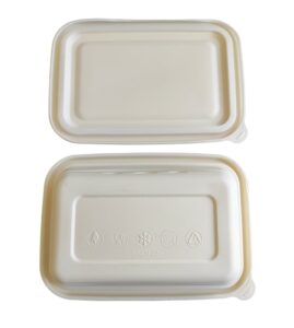 650mlbiodegradable food box