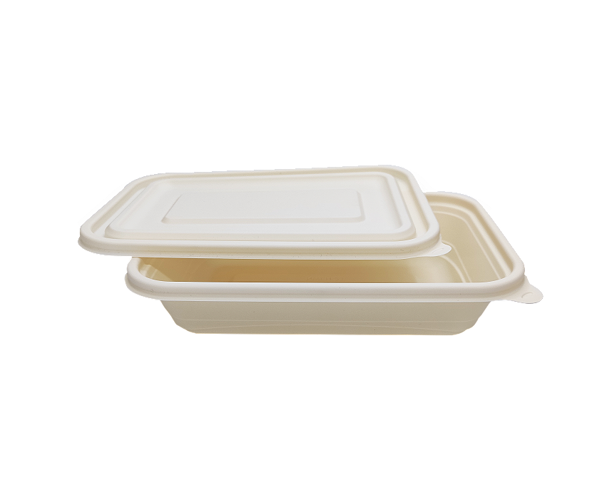 750ml disposable lunch box2