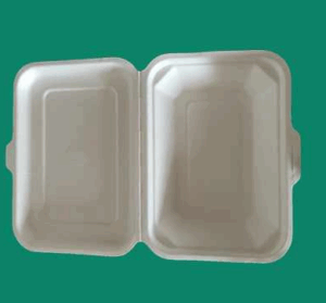 Bagasse Clamshell Box PC600