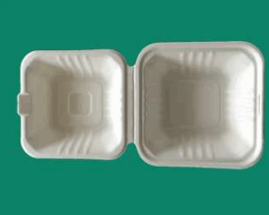 Bagasse Clamshell Box PCT061