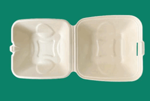 Bagasse Clamshell Box X061