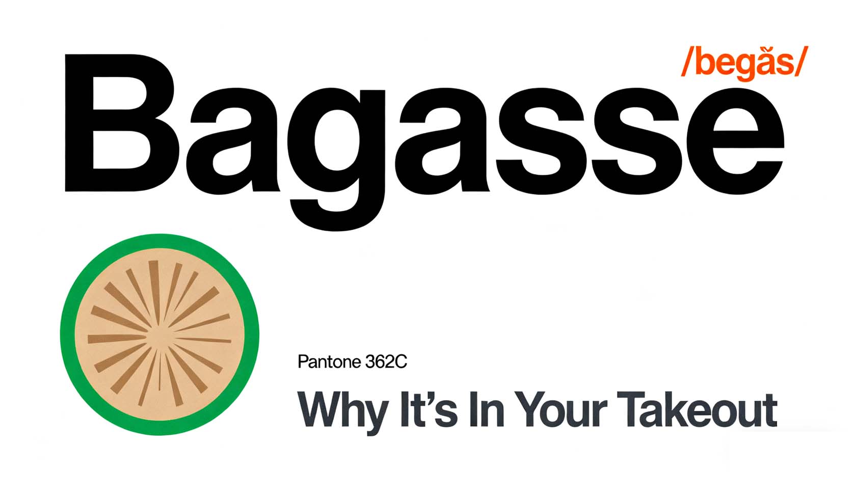 Bagasse Explained The Eco-Friendly Takeout Material You Should Know